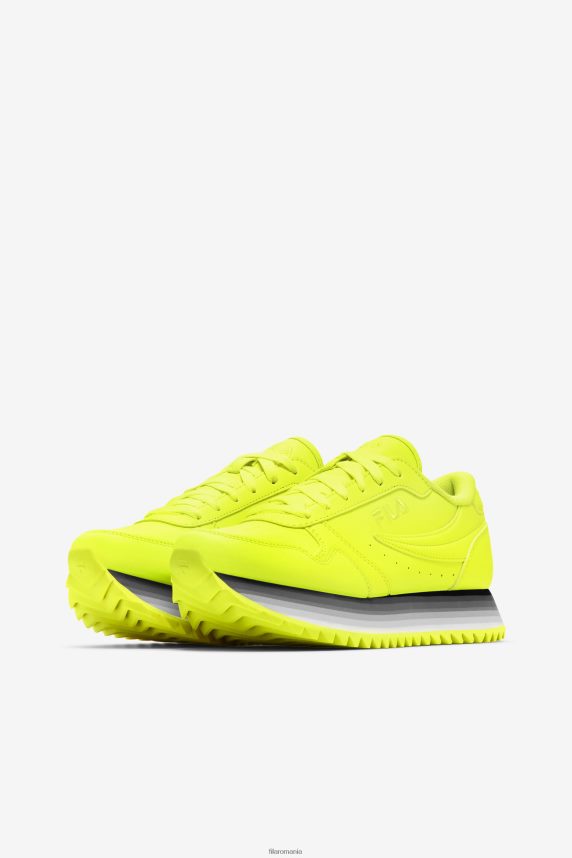 dama orbit dunga fila galben/negru/alb stralucitor LTP2R61298 galben/negru/alb strălucitor FILA